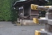 三嶋大社（静岡県のパワースポット神社）